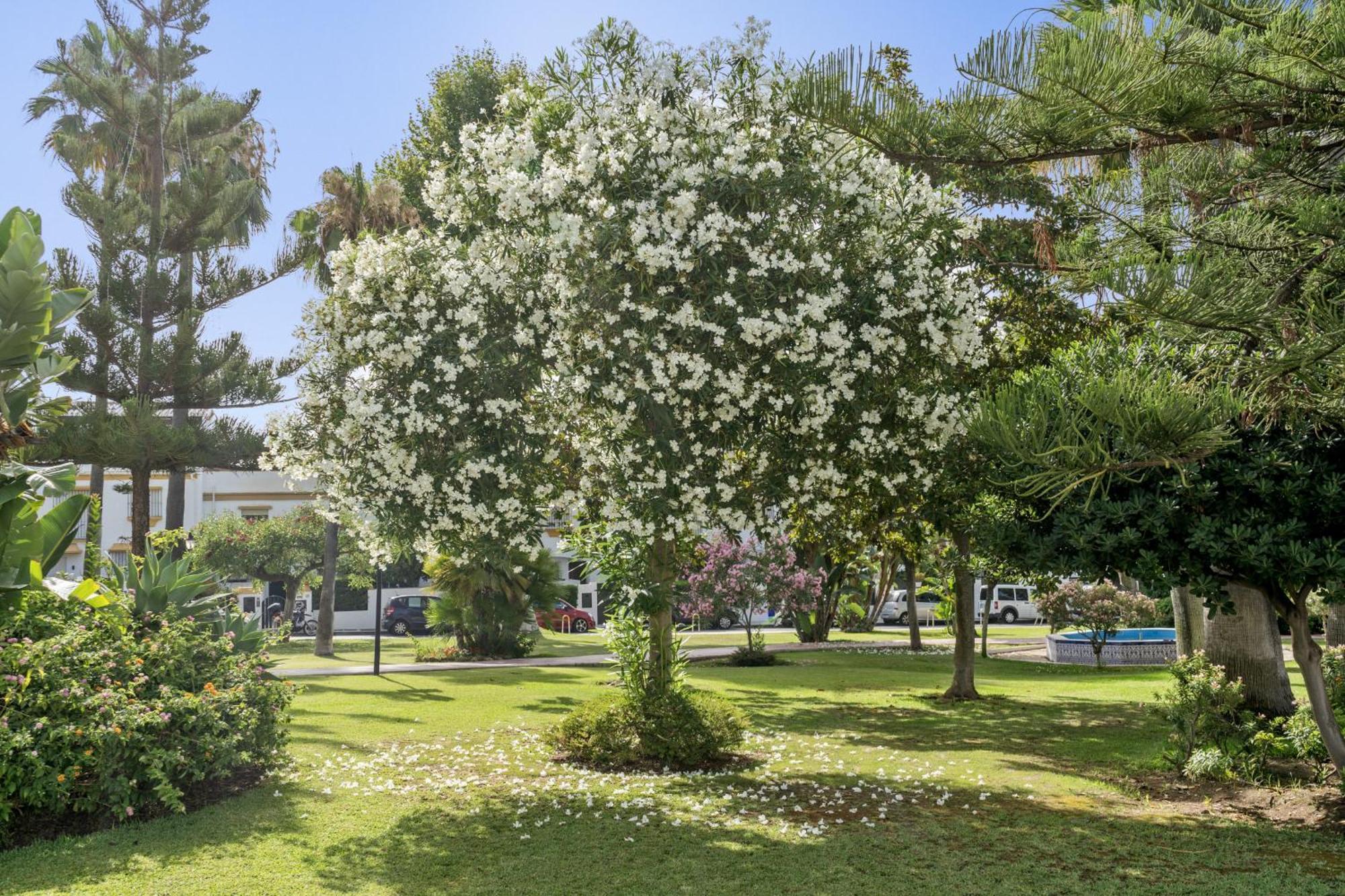 הוילה מארבלה Casa Adriana מראה חיצוני תמונה